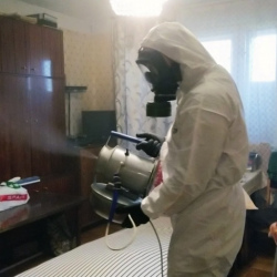 Дезинфекция от клопов в Шахтах
